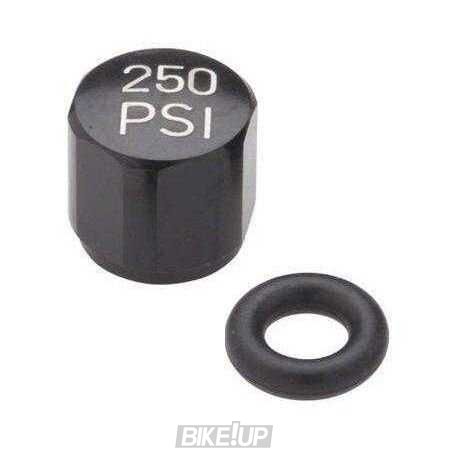 Сервисные запчасти BULK AIR VALVE CAP REVERBSTLTH QTY10