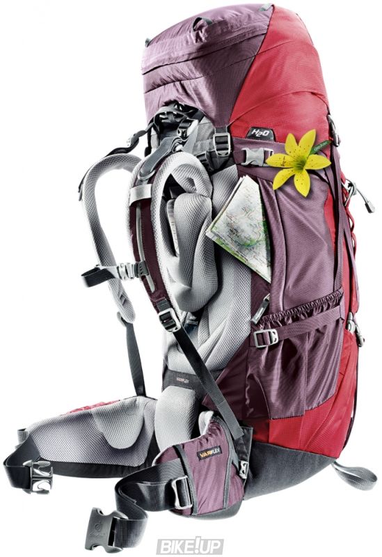 Рюкзак Deuter Aircontact 65+10 цвет 2218 forest-moss