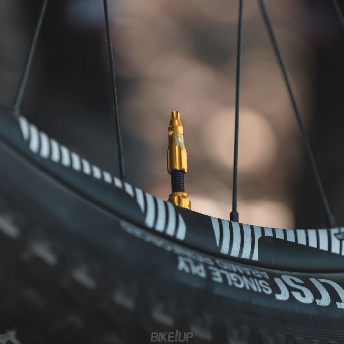 Ніпель для безкамерки Lezyne CNC TLR VALVE 60MM Чорний Y14