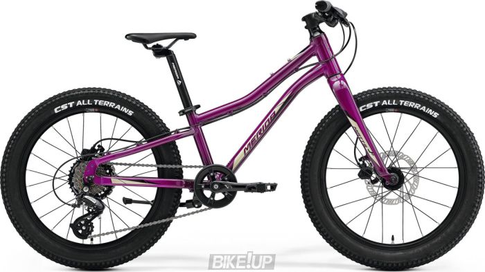 Велосипед дитячий 20" MERIDA MATTS J.20+ Purple Black Champagne